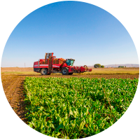Tractor harvesting crops in sunny farm field