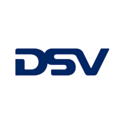 DSV Logo